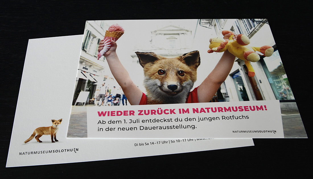 Naturmuseum_02_web